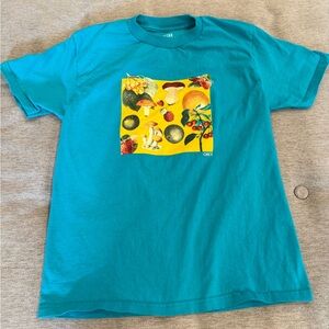 Obey teal mushroom tshirt size small